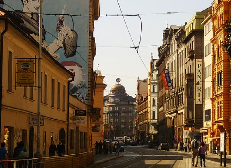 10. Carleton College