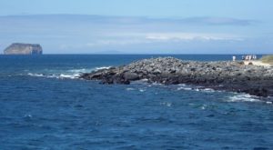 32. Taylor University