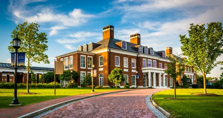 Johns hopkins creative writing camp