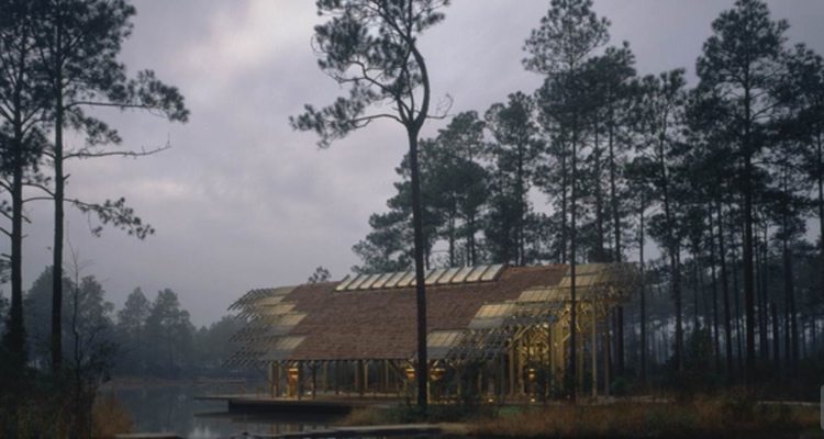 Louisiana S Most Famous Natural Resource Louisiana S Most Famous Natural Resource