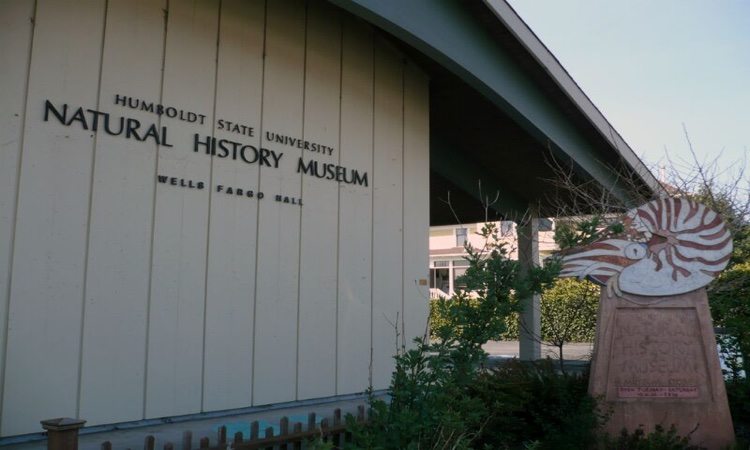 Arcata Ca Natural History Museum Arcata Ca Natural History Museum