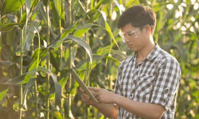 The 20 Best College Farms