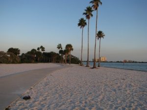 12 Colleges and Universities Near the Beach