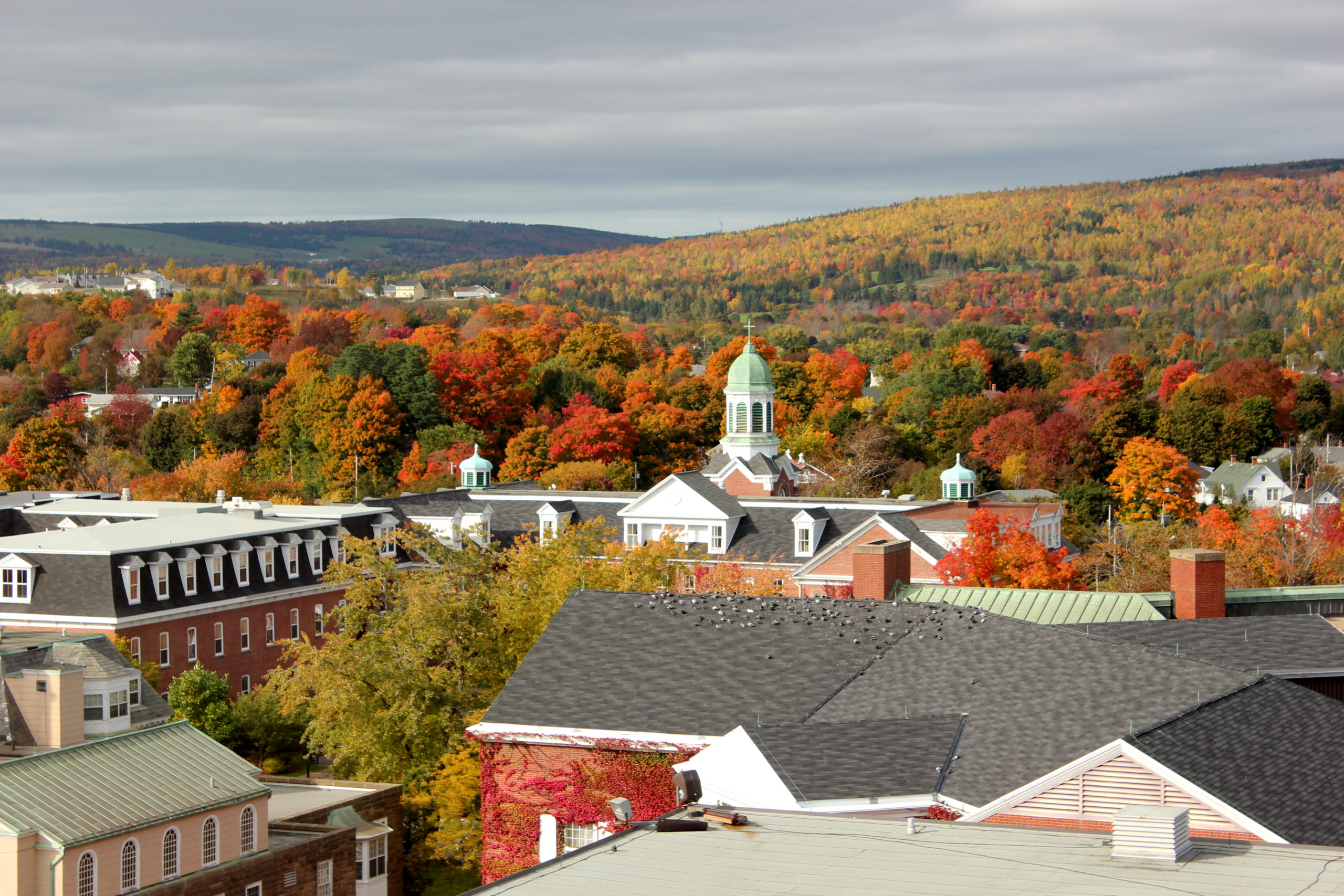 35 Best Affordable Online Bachelor’s Degrees in Psychology